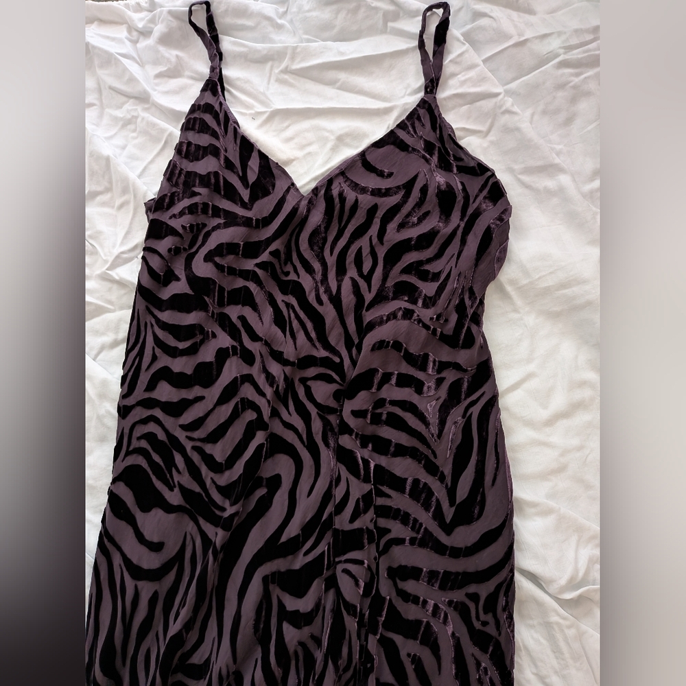 Johnny Was Zebra Print Dress
